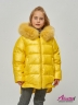 Куртка для девочки зимняя средней длины с кулисой по поясу  с капюшоном с мехом енота  KIWILAND DC2086 Желтый